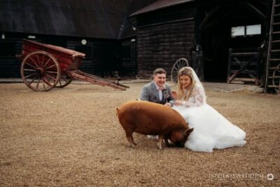 Bride and groom laughing with pig at rustic wedding.