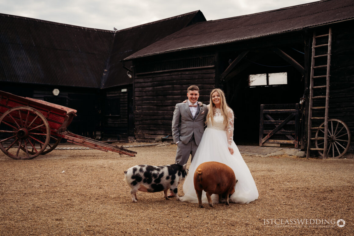 bride and groom in the farmyard with the pigs at south farm wedding venue