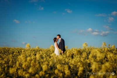 Couple kissing in a blooming yellow rapeseed field.