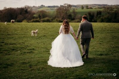 Bride and groom walking in countryside field with sheep.