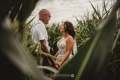 Couple holding hands in cornfield wedding photography.