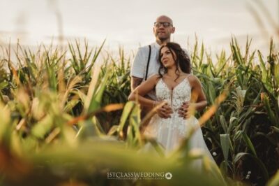 Couple embracing in cornfield at sunset.