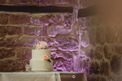 Wedding cake with pink lighting on stone wall