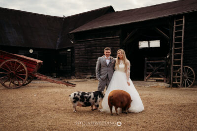 Bride and groom posing with pigs at farm wedding