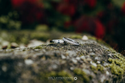Wedding bands on mossy stone with blurred backdrop.